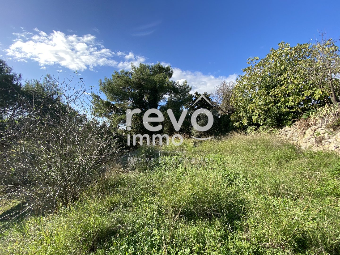 Agence immobilière de REVO IMMO