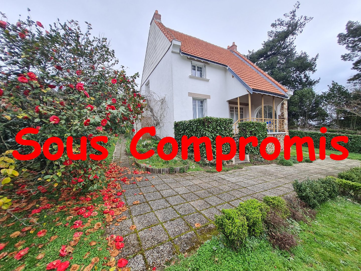 Agence immobilière de REVO IMMO