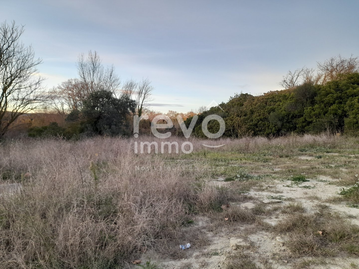 Agence immobilière de REVO IMMO