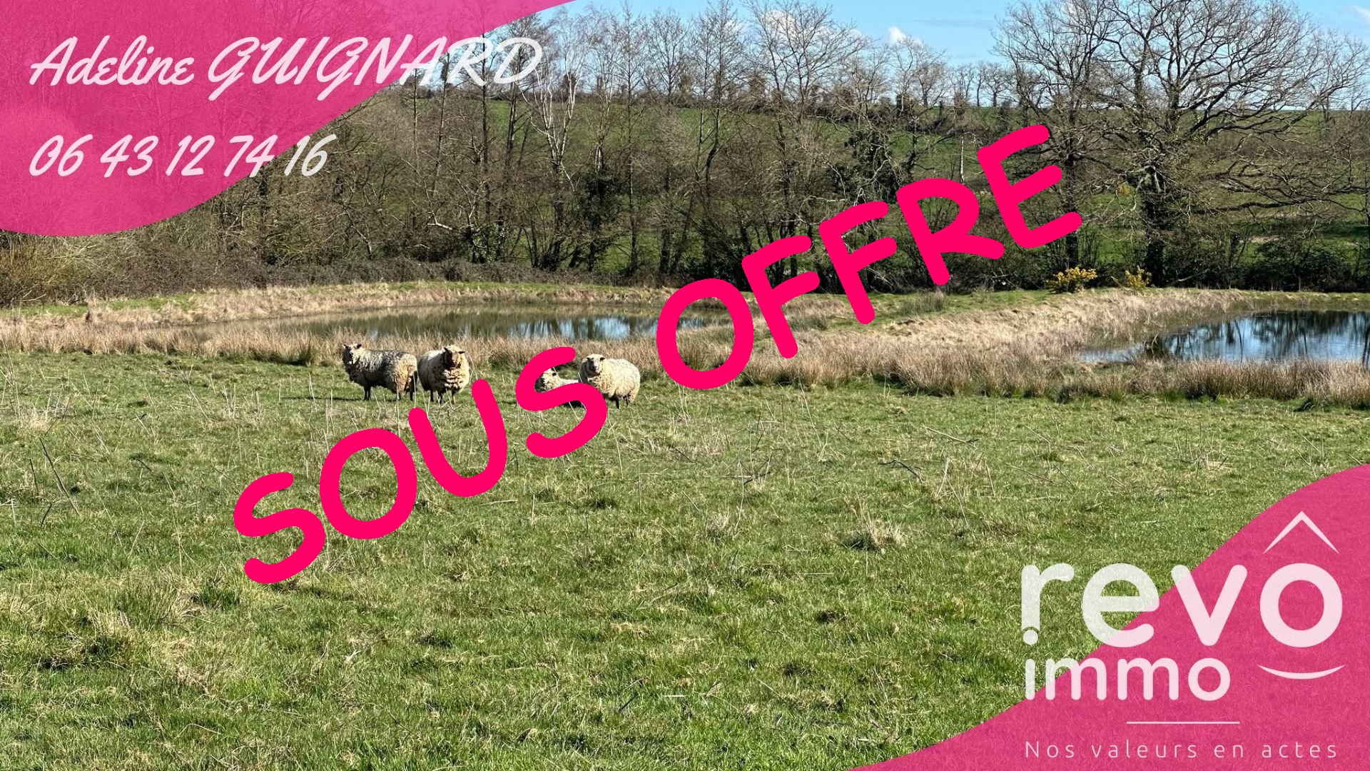 Agence immobilière de REVO IMMO