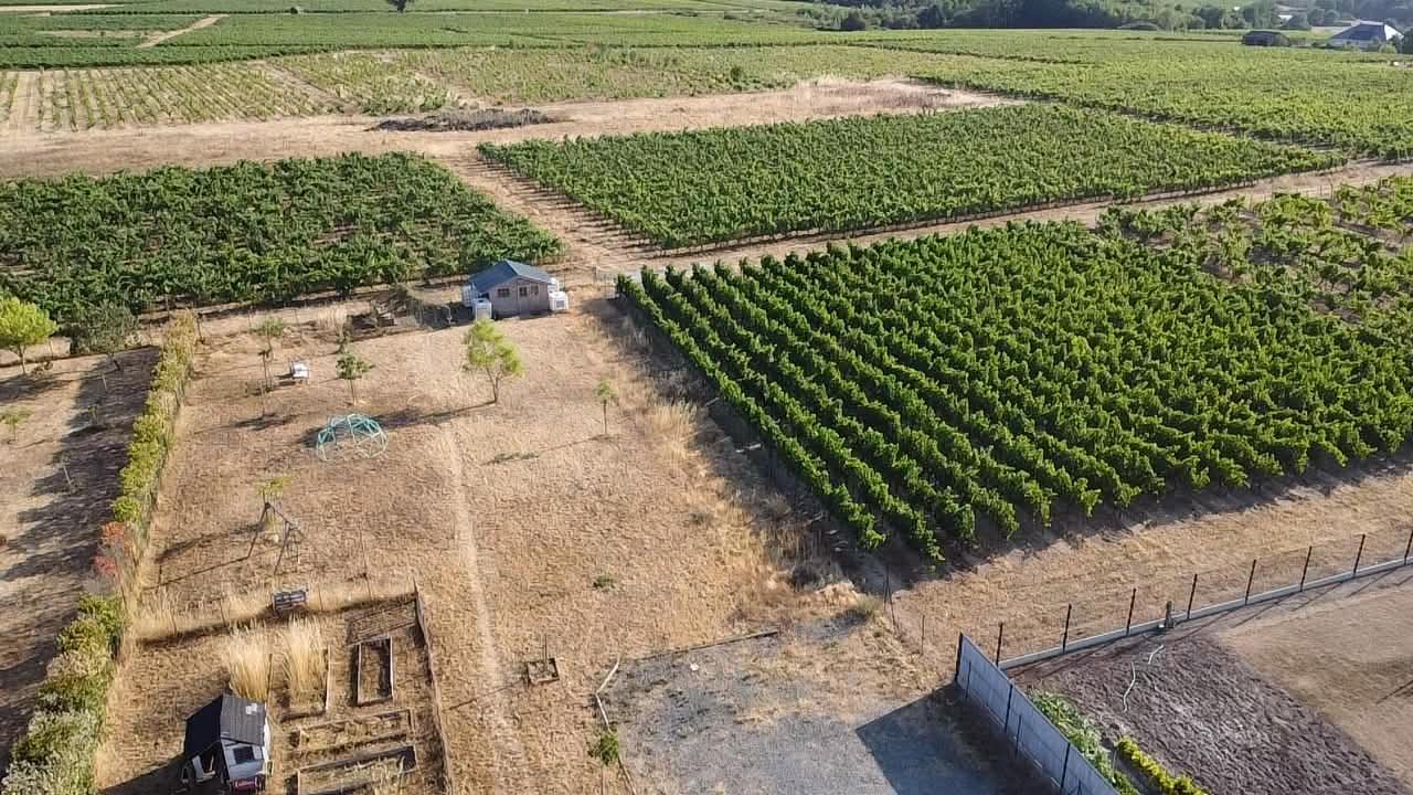 Agence immobilière de REVO IMMO