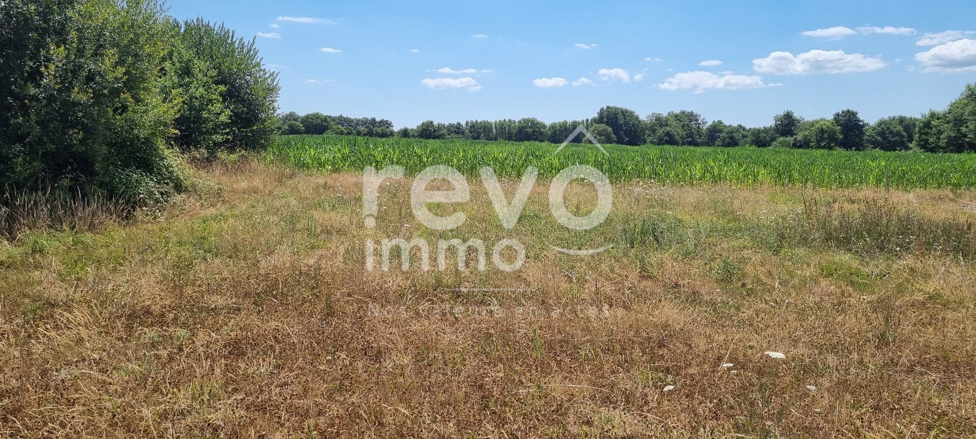 Agence immobilière de REVO IMMO