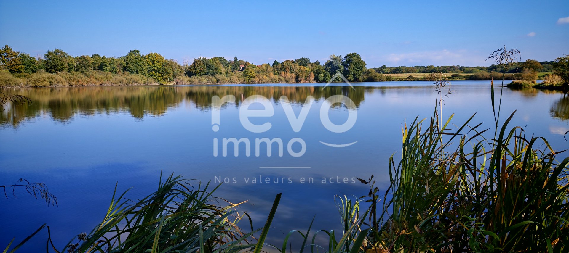 Agence immobilière de REVO IMMO