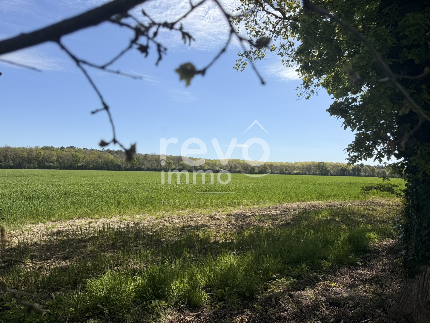 Agence immobilière de REVO IMMO
