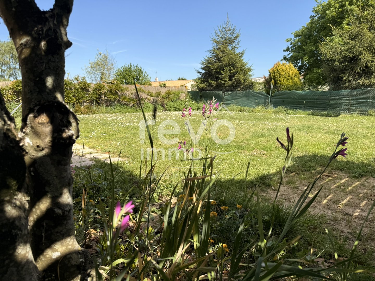 Agence immobilière de REVO IMMO