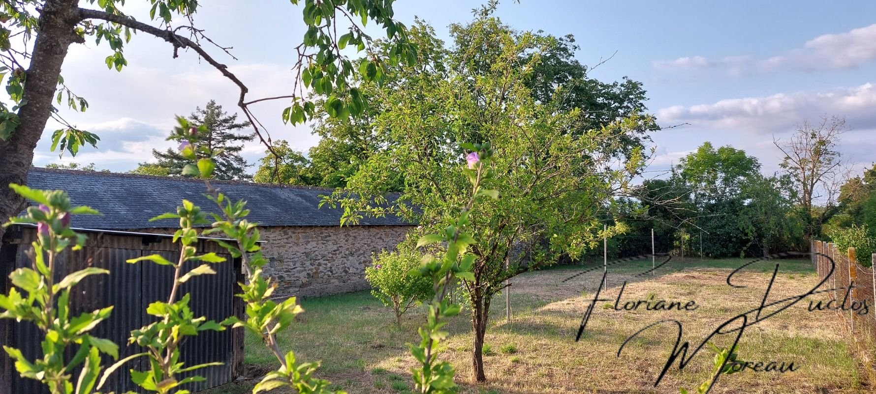 Agence immobilière de REVO IMMO