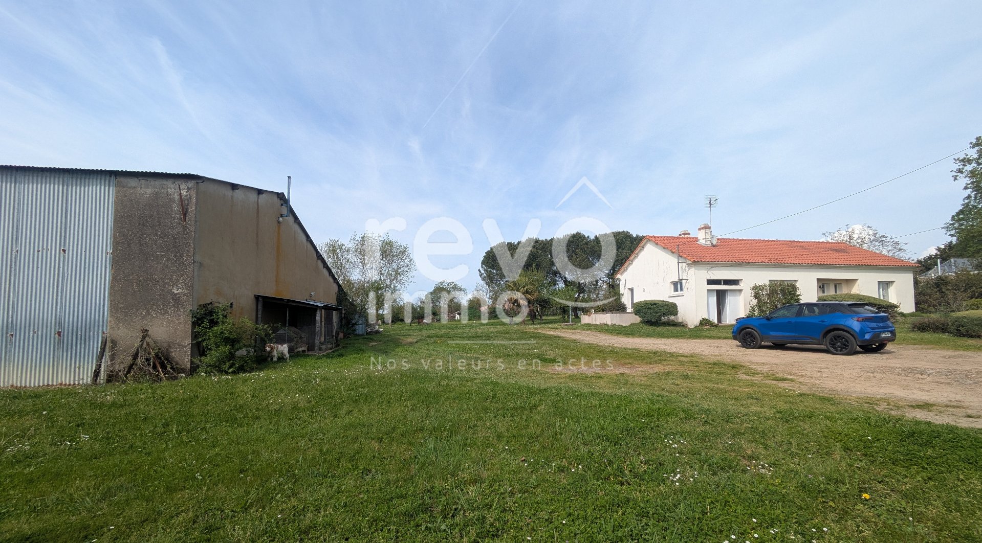 Agence immobilière de REVO IMMO