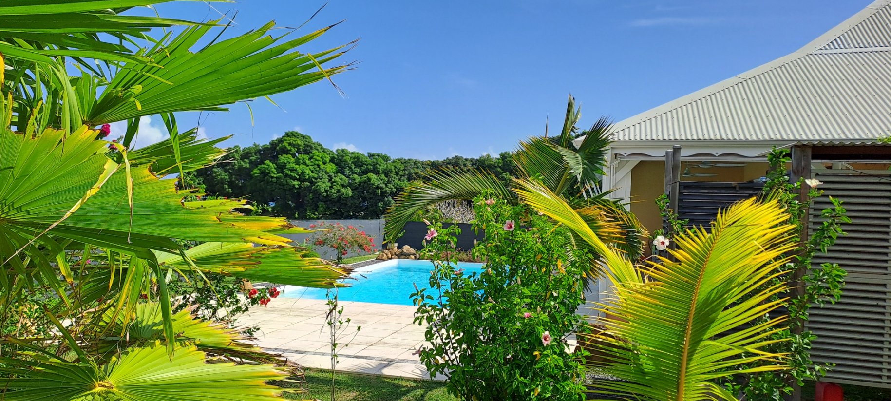 Agence immobilière de REVO IMMO