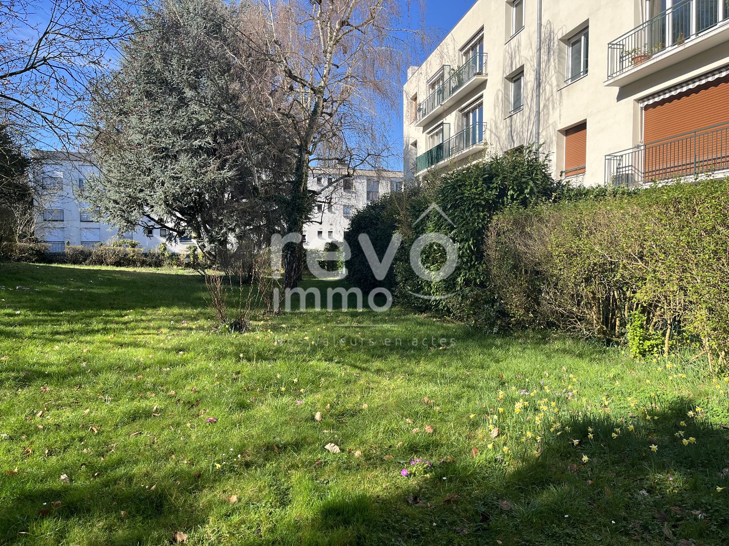 Agence immobilière de REVO IMMO