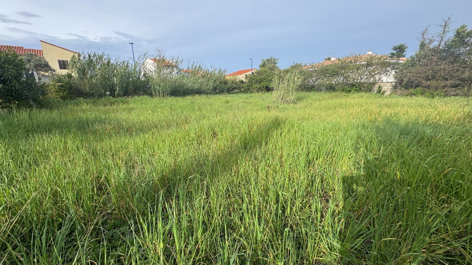 Agence immobilière de 66 IMMOBILIER