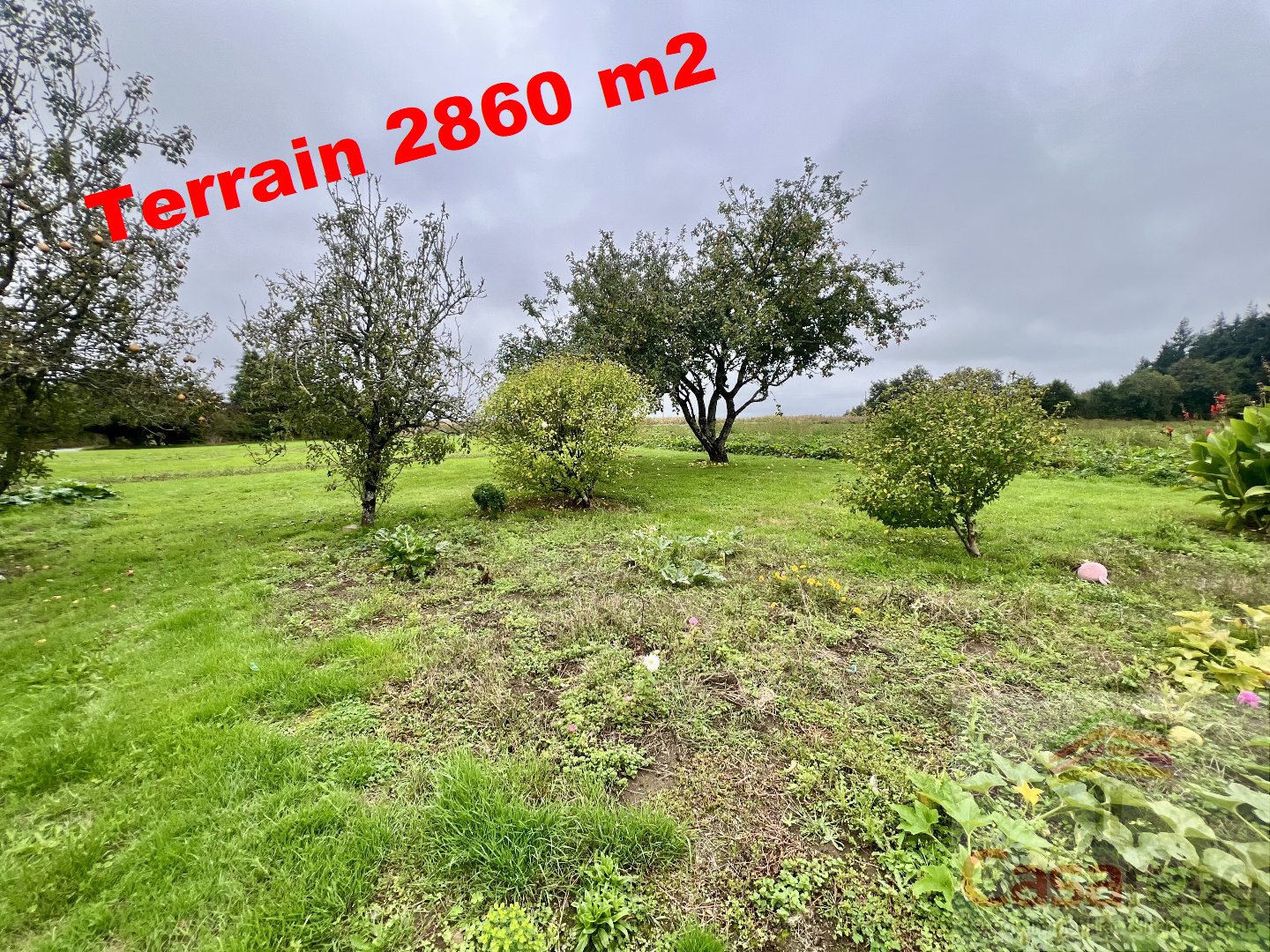 Agence immobilière de Casarèse