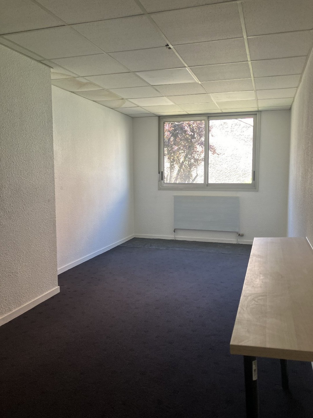 Agence immobilière de Casarèse