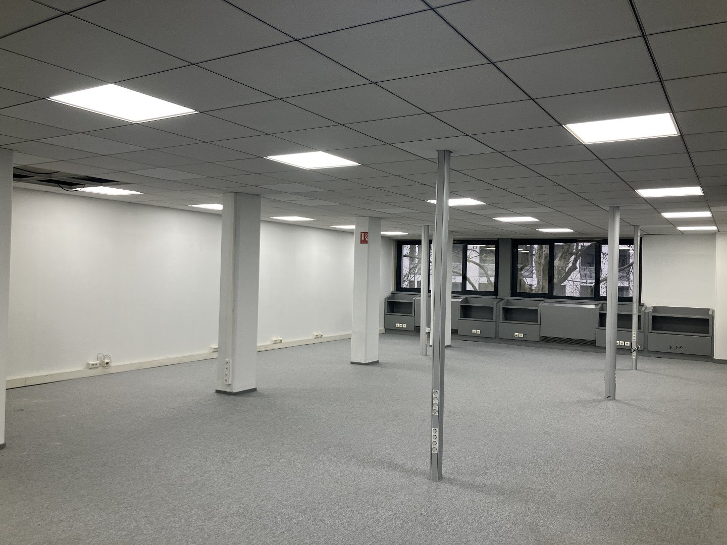 Agence immobilière de Casarèse
