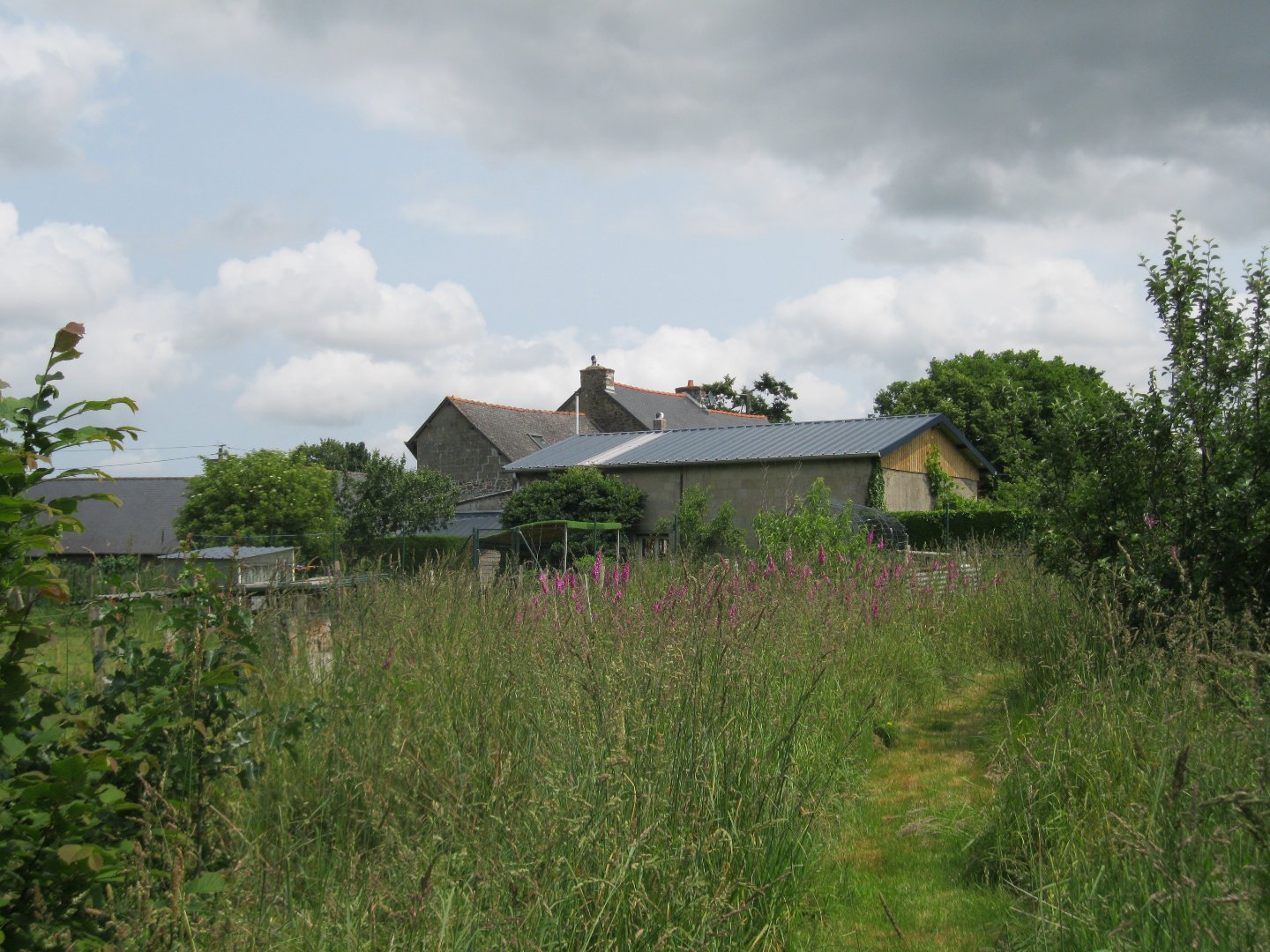 Agence immobilière de Casarèse