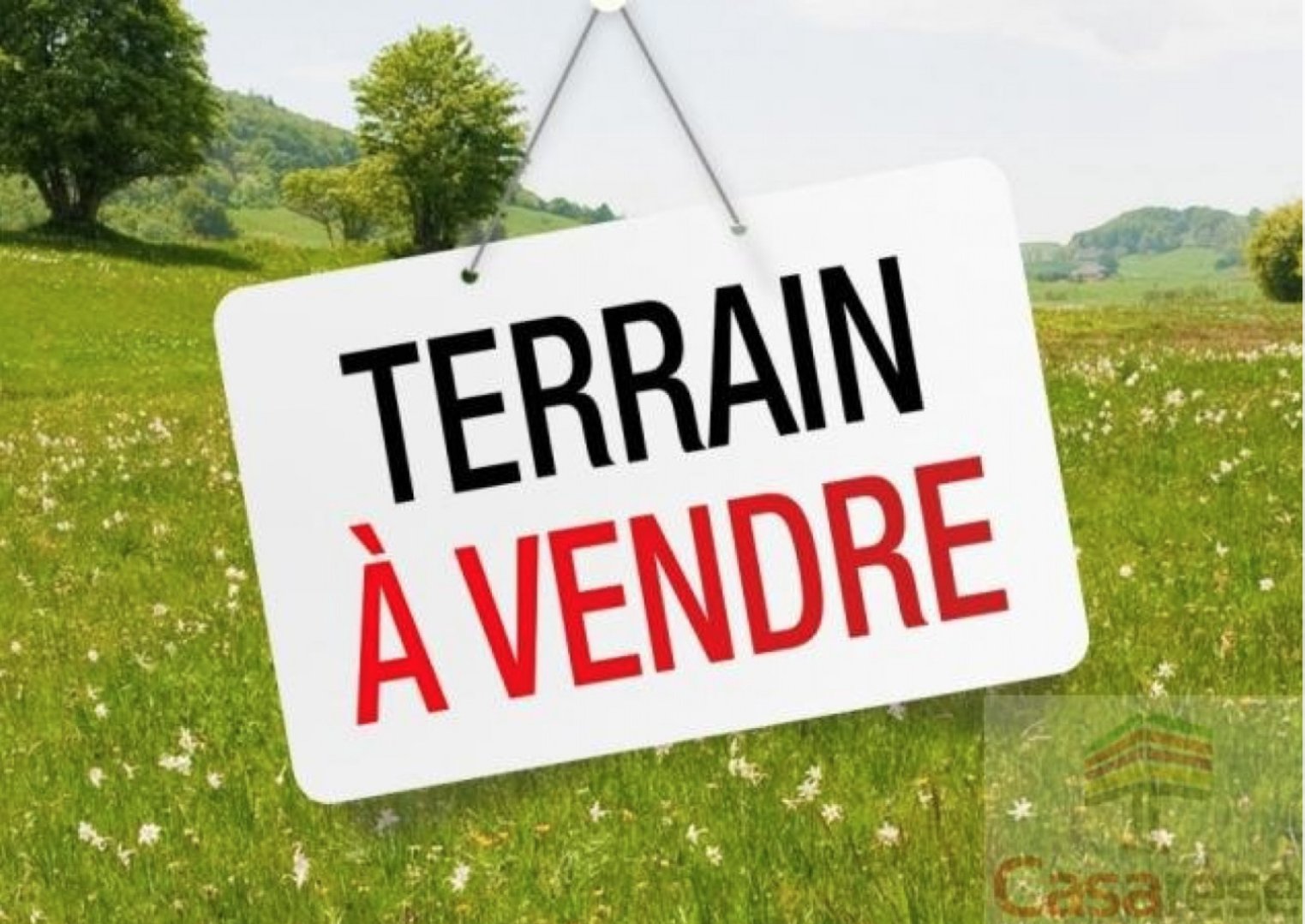 Agence immobilière de Casarèse