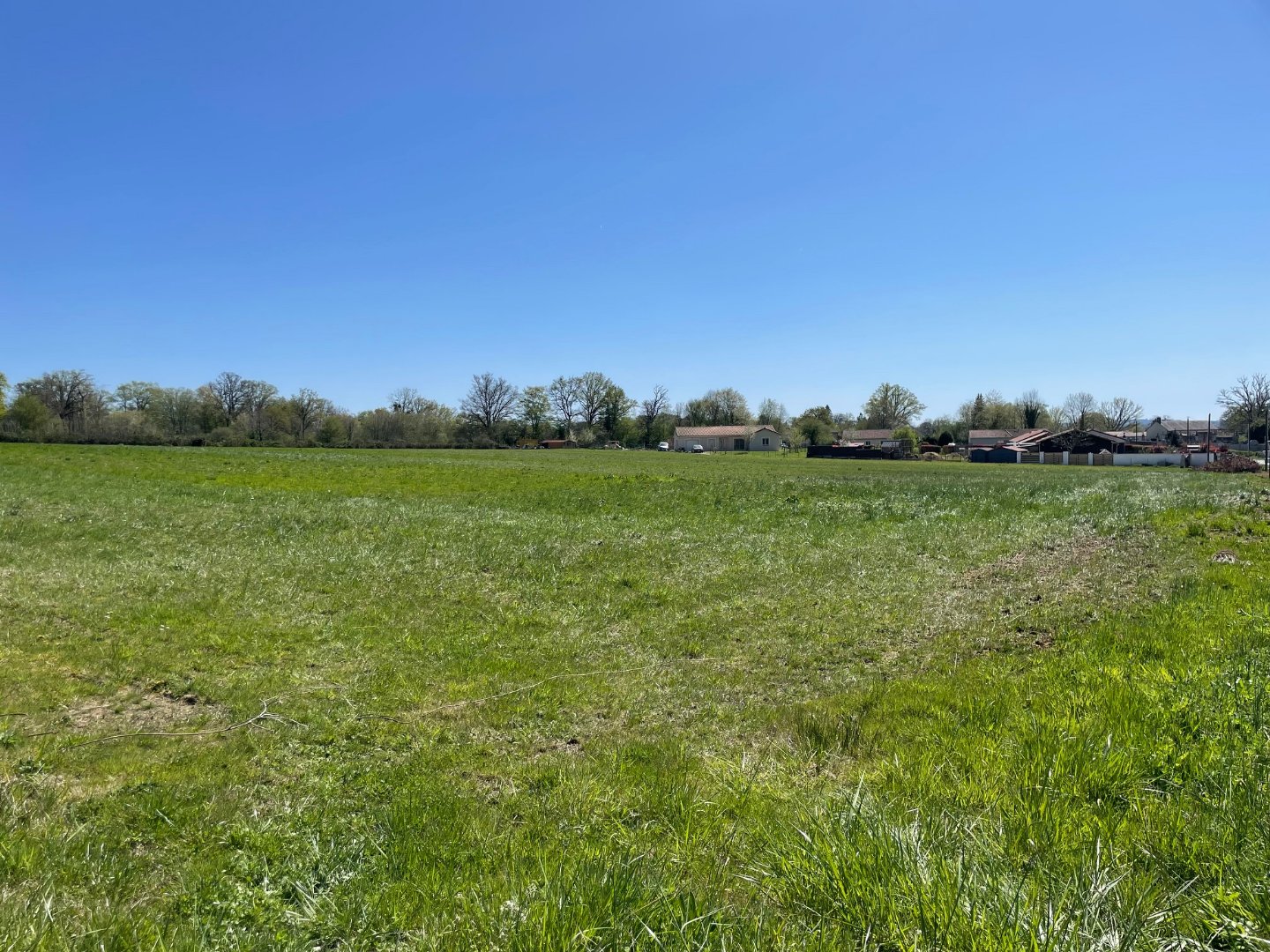 Agence immobilière de Casarèse