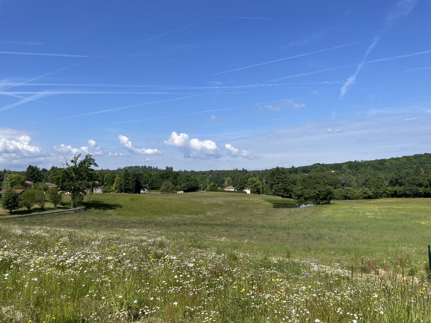 Agence immobilière de Casarèse