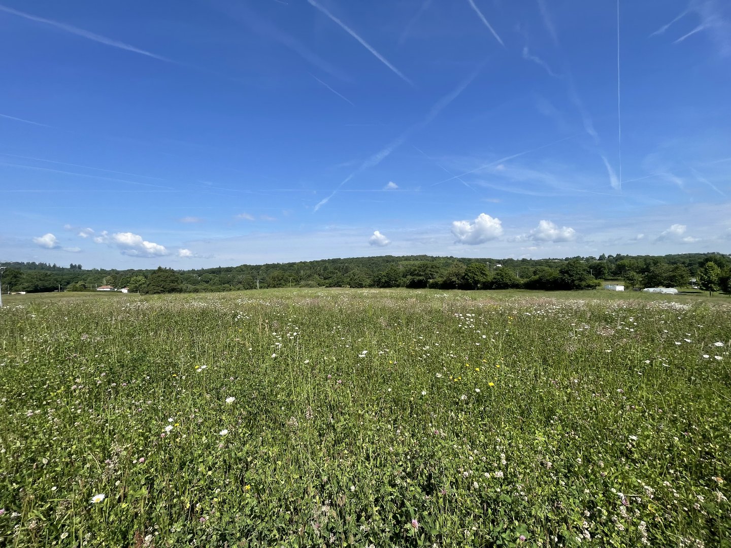 Agence immobilière de Casarèse