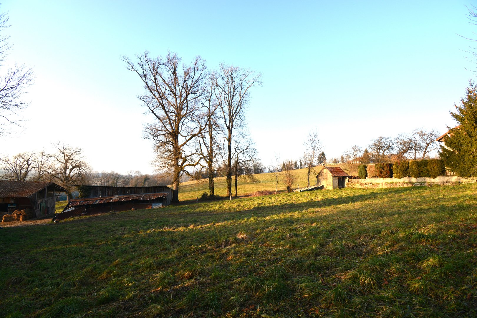 Agence immobilière de CP IMMOBILIER