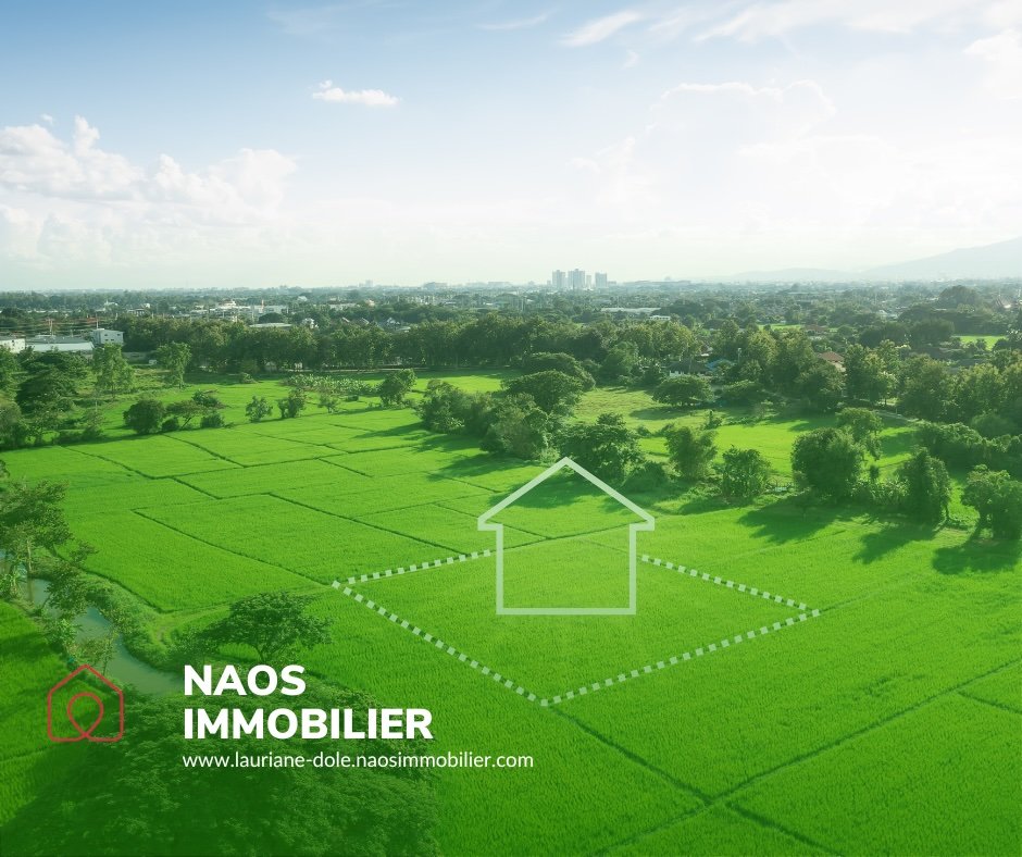 Agence immobilière de NAOS immobilier