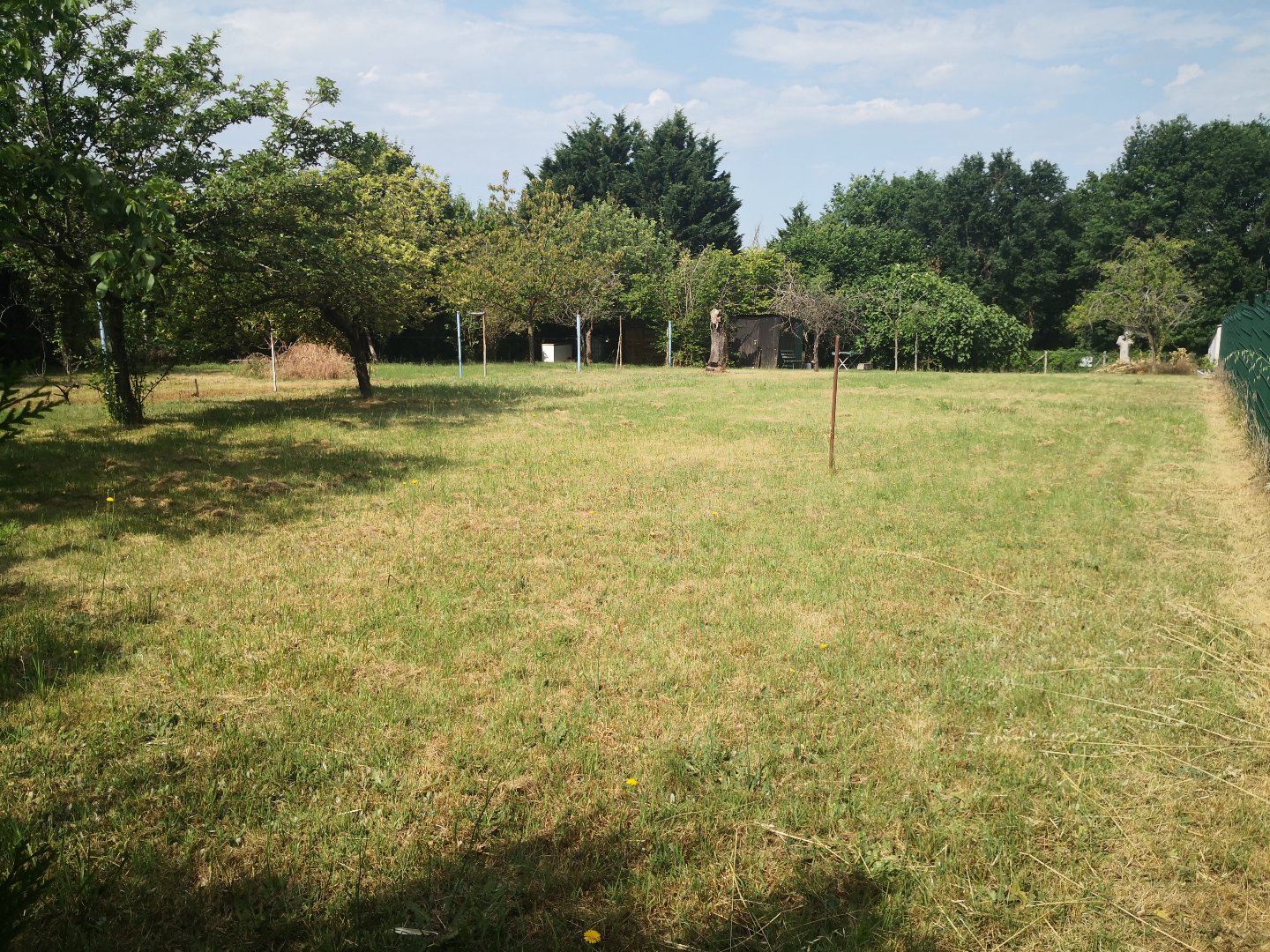 Agence immobilière de NAOS immobilier