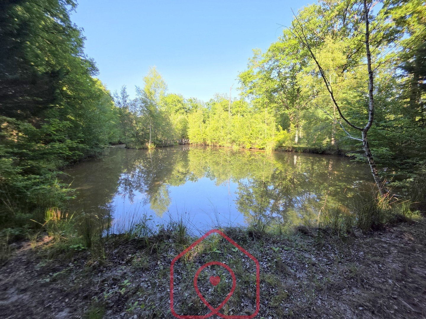 Agence immobilière de NAOS immobilier