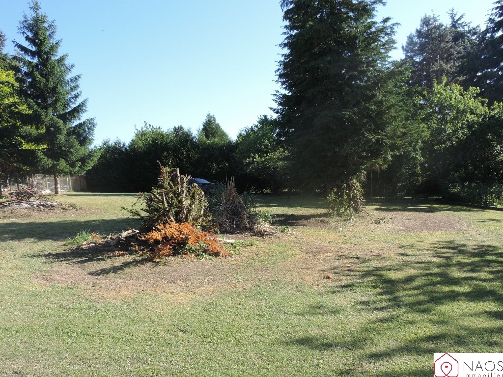 Agence immobilière de NAOS immobilier