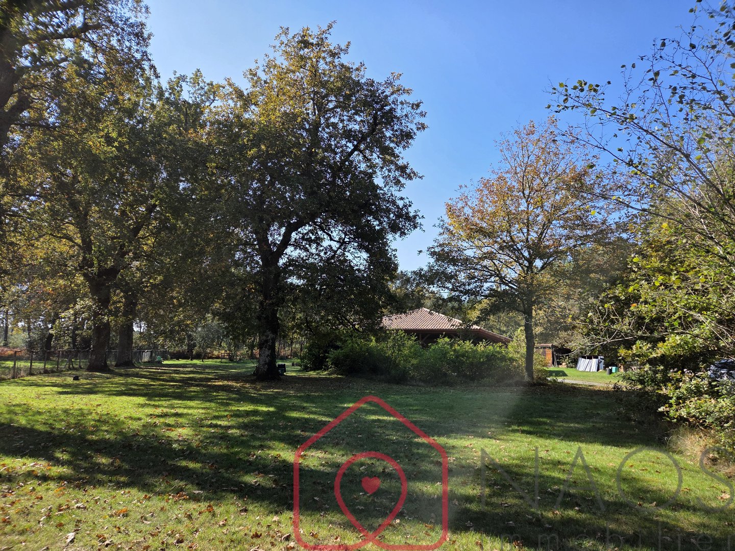 Agence immobilière de NAOS immobilier