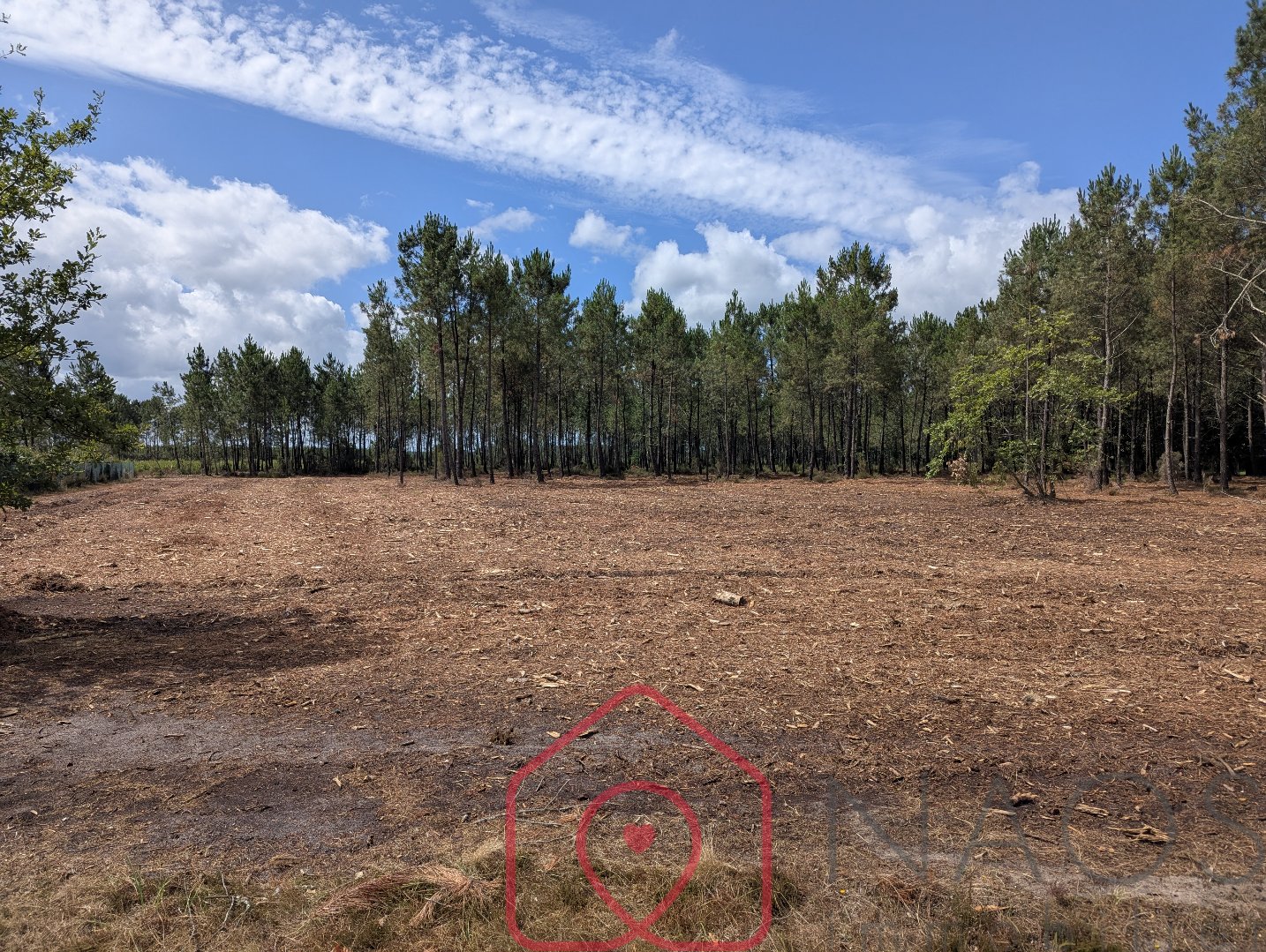 Agence immobilière de NAOS immobilier