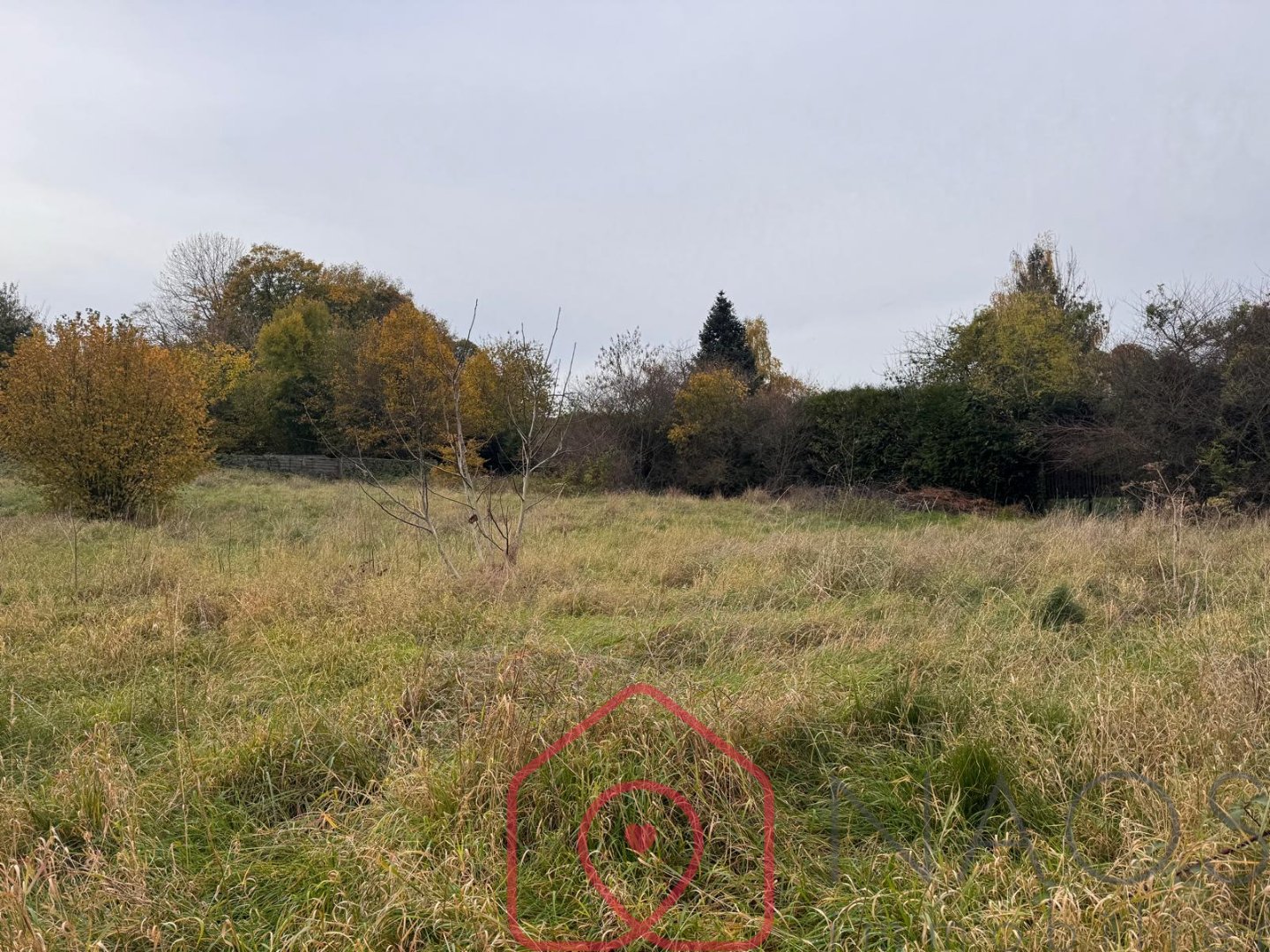 Agence immobilière de NAOS immobilier