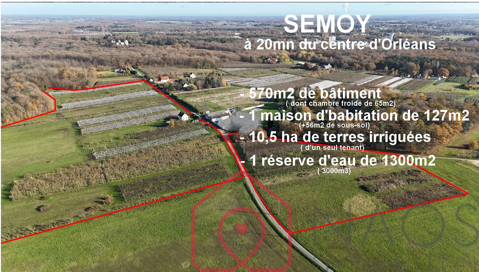 Agence immobilière de NAOS immobilier