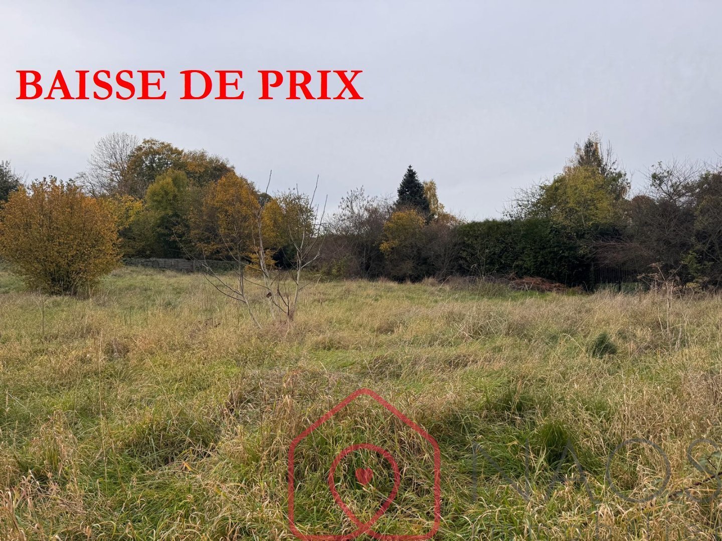 Agence immobilière de NAOS immobilier
