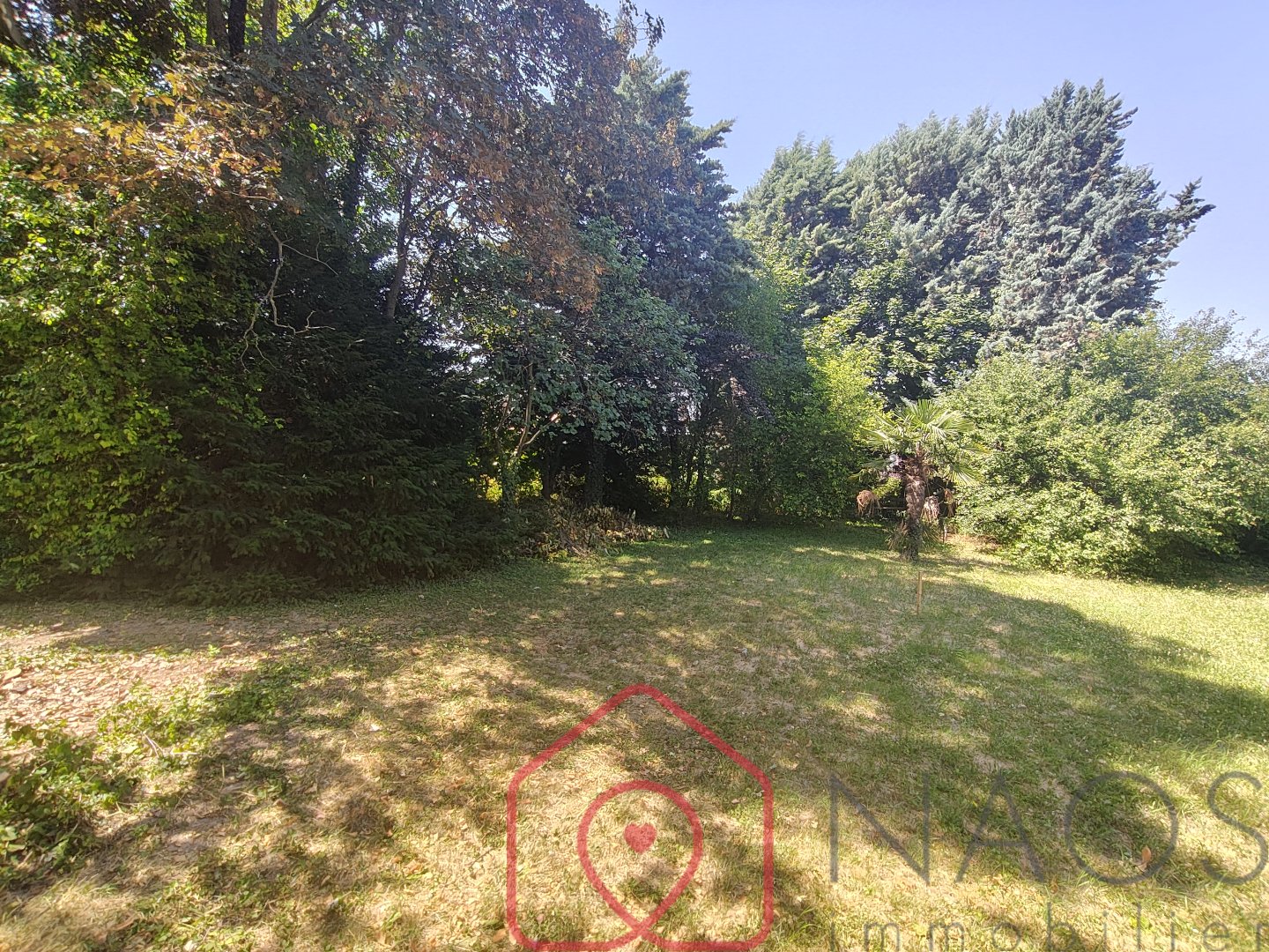 Agence immobilière de NAOS immobilier