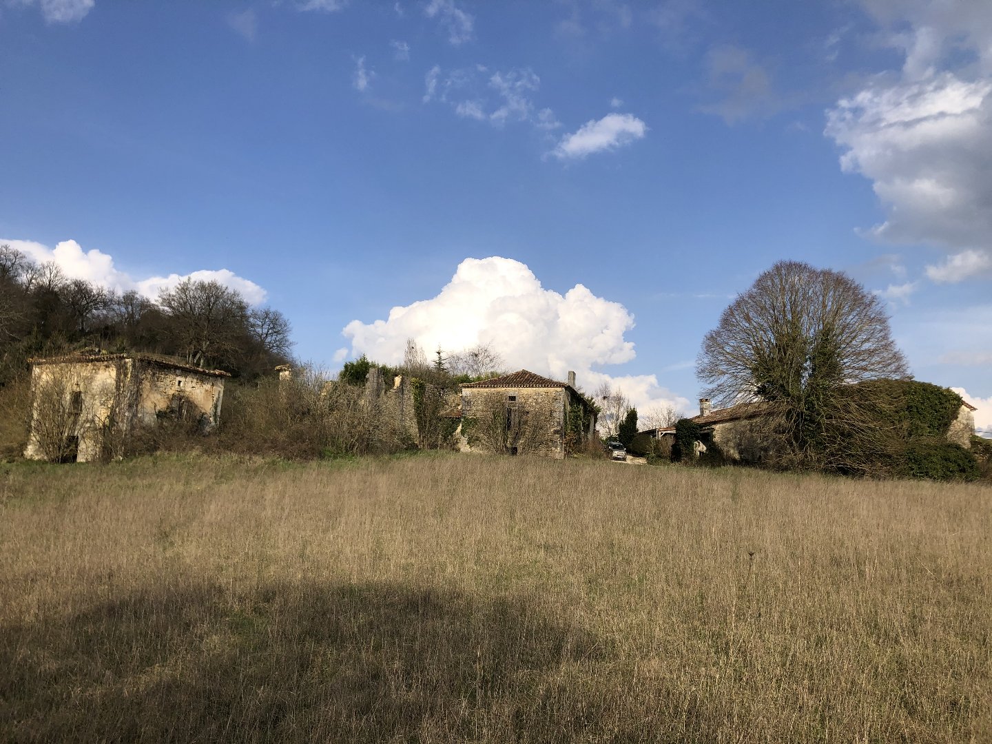 Agence immobilière de Sextant France