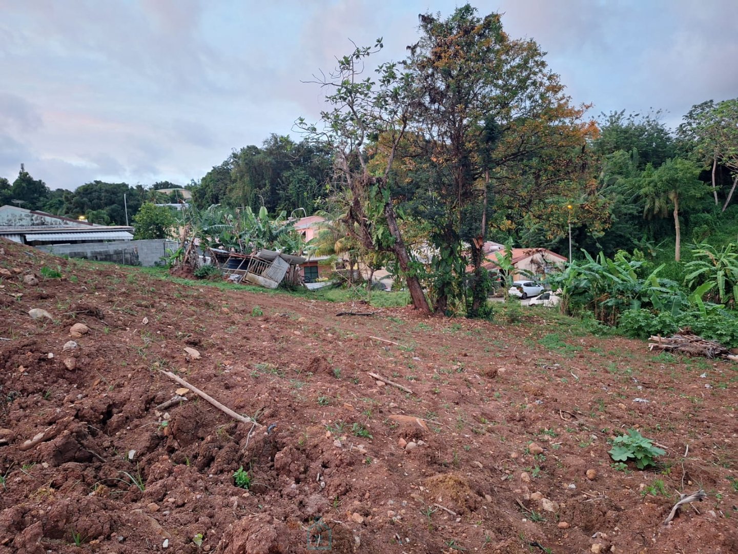 Agence immobilière de Sextant France