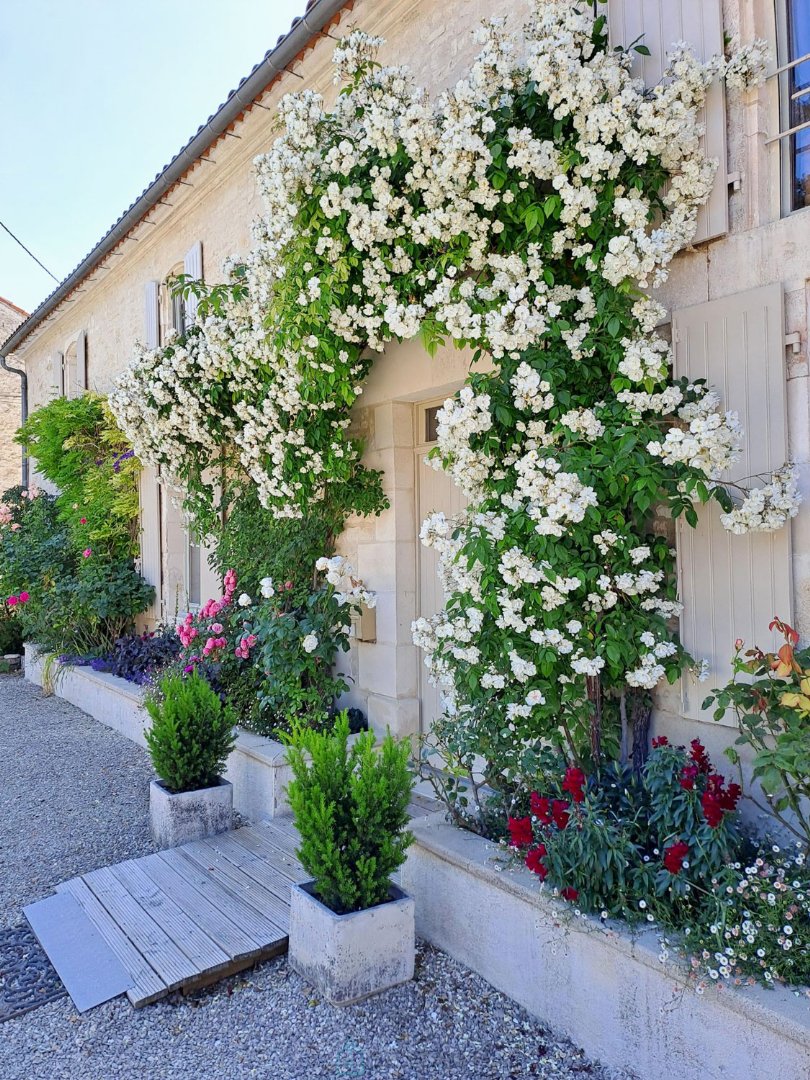 Agence immobilière de Sextant France