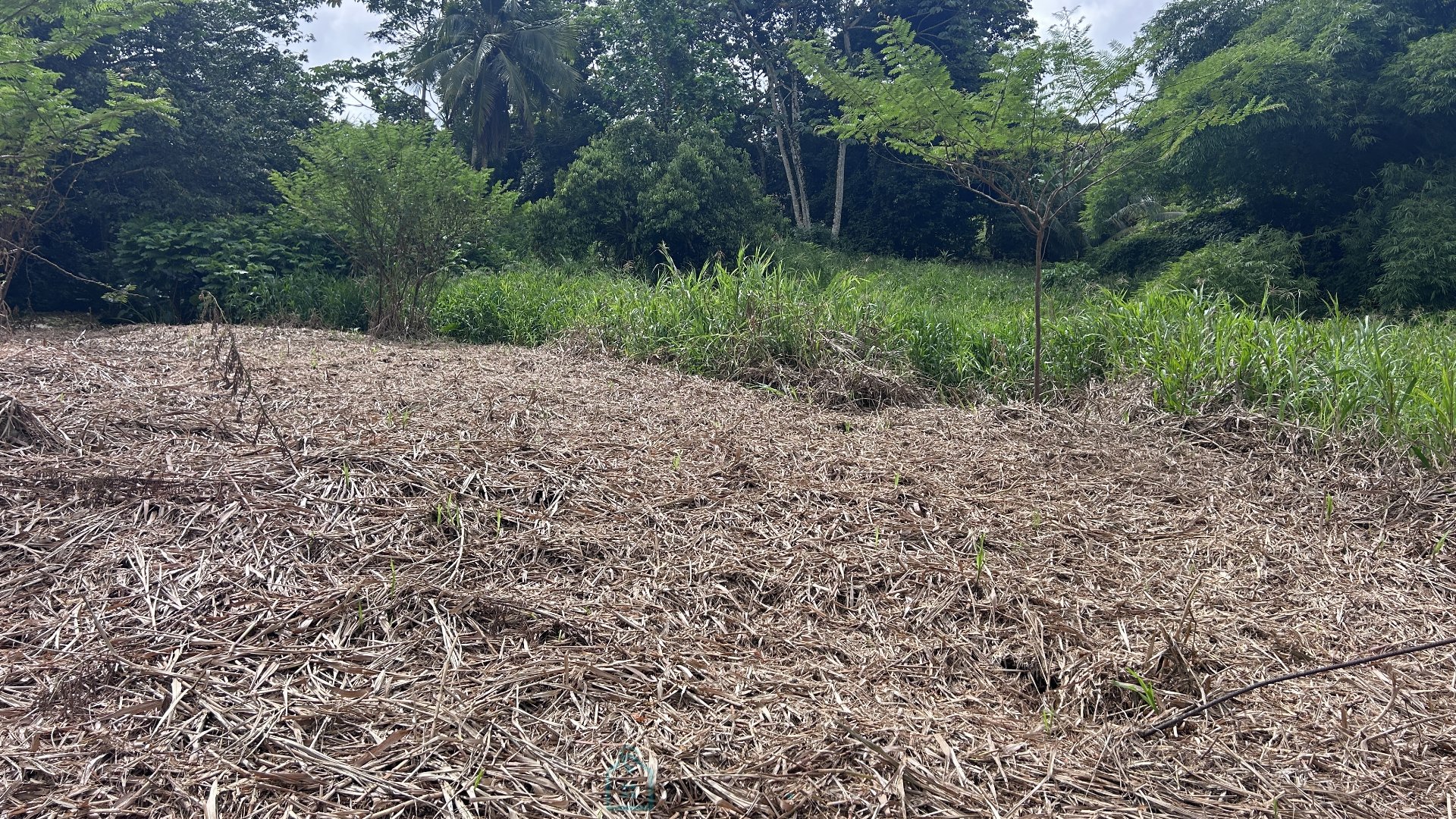 Agence immobilière de Sextant France