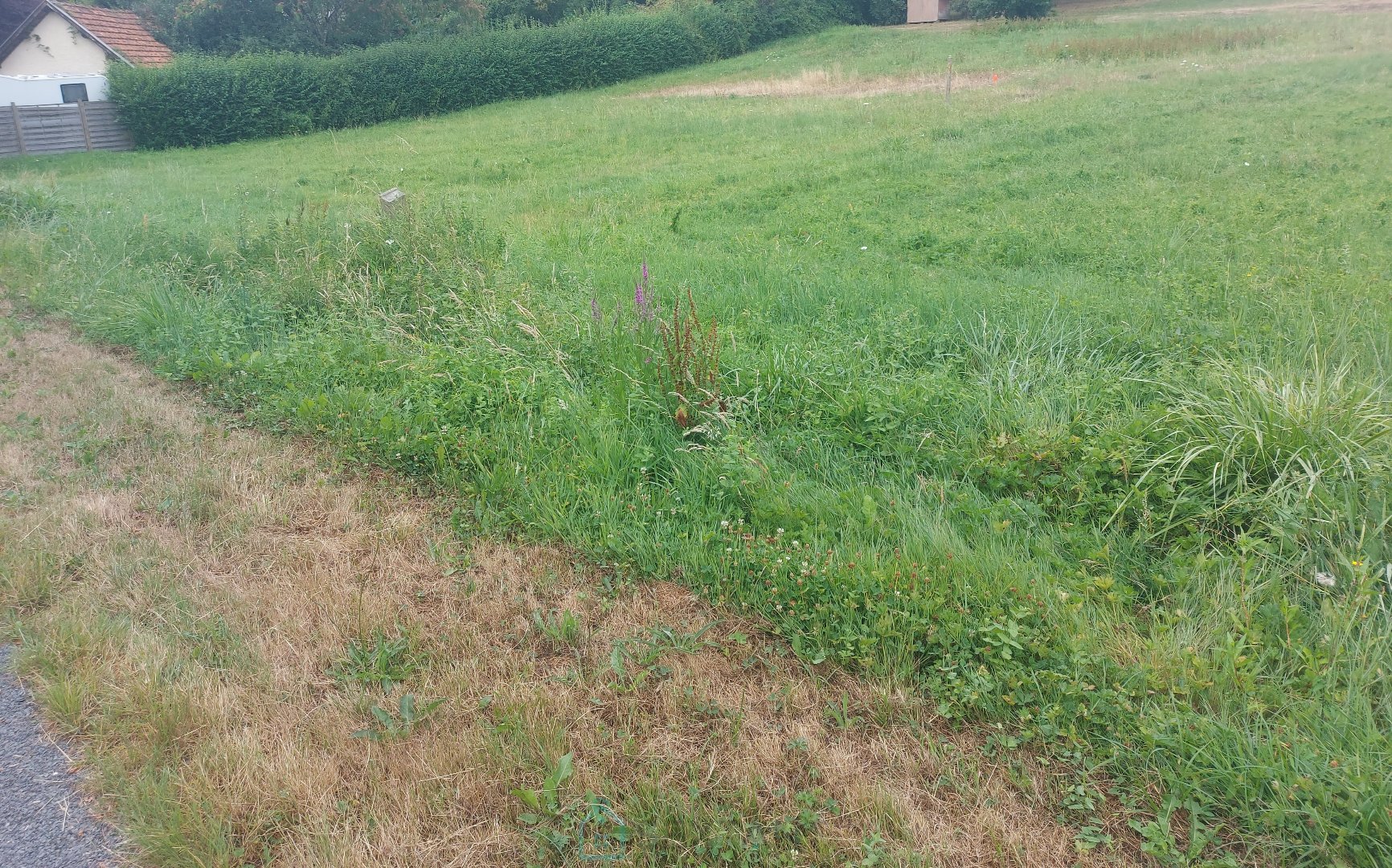 Agence immobilière de Sextant France