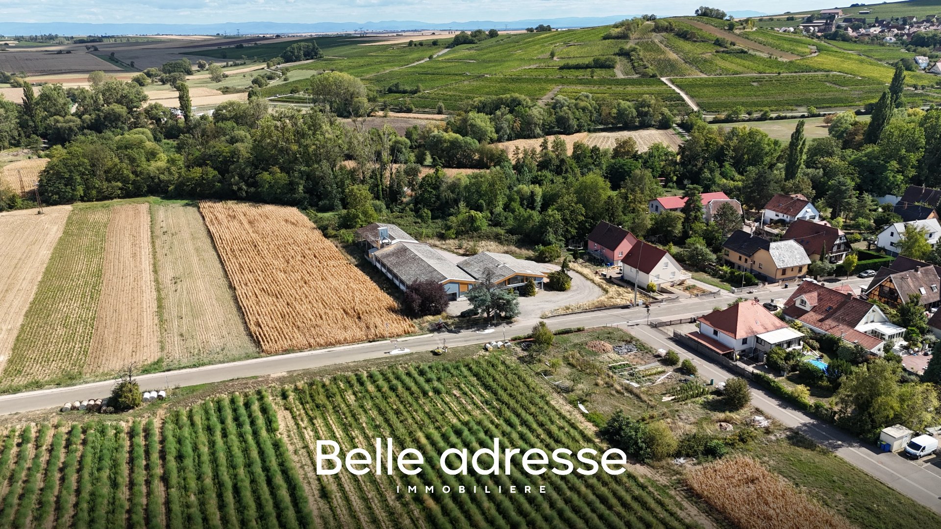Agence immobilière de Sextant France
