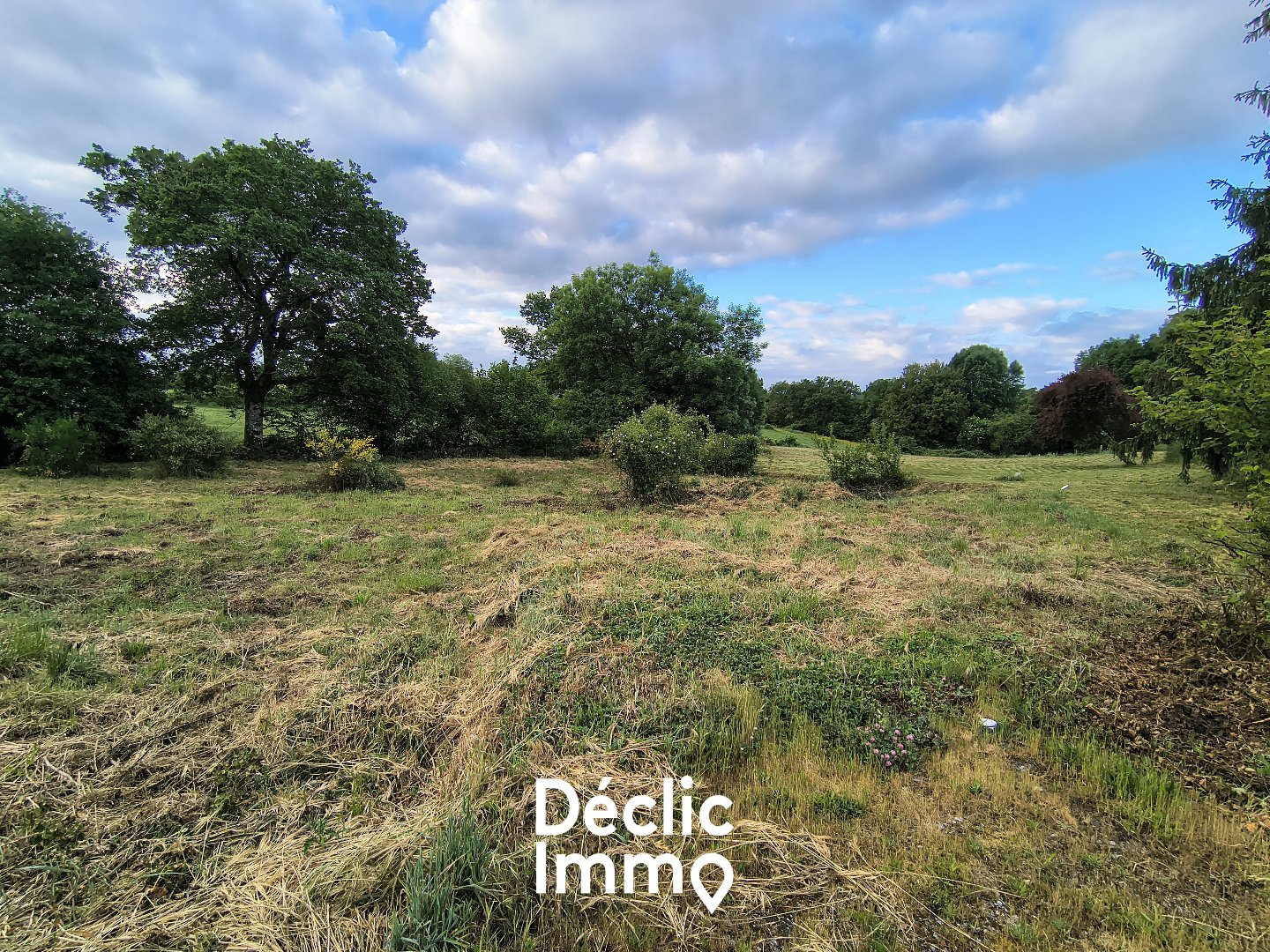 Agence immobilière de DECLIC IMMO 86