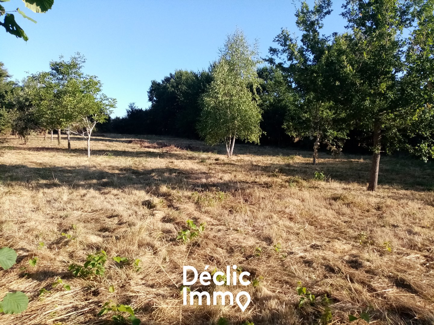 Agence immobilière de DECLIC IMMO 86