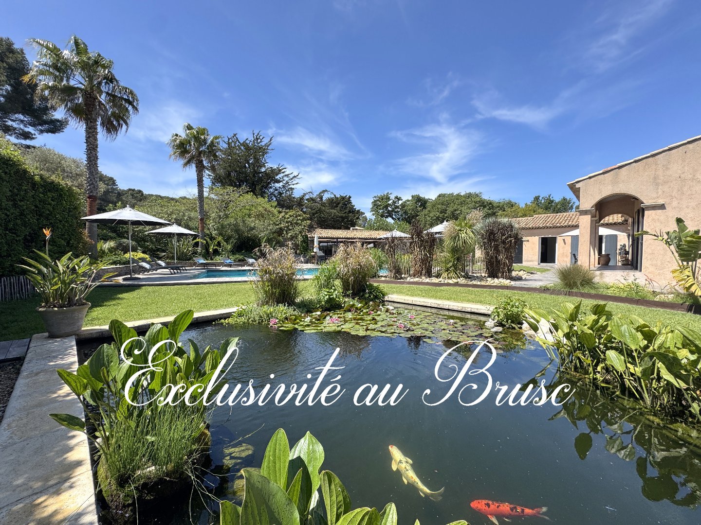 Agence immobilière de Homebook immo