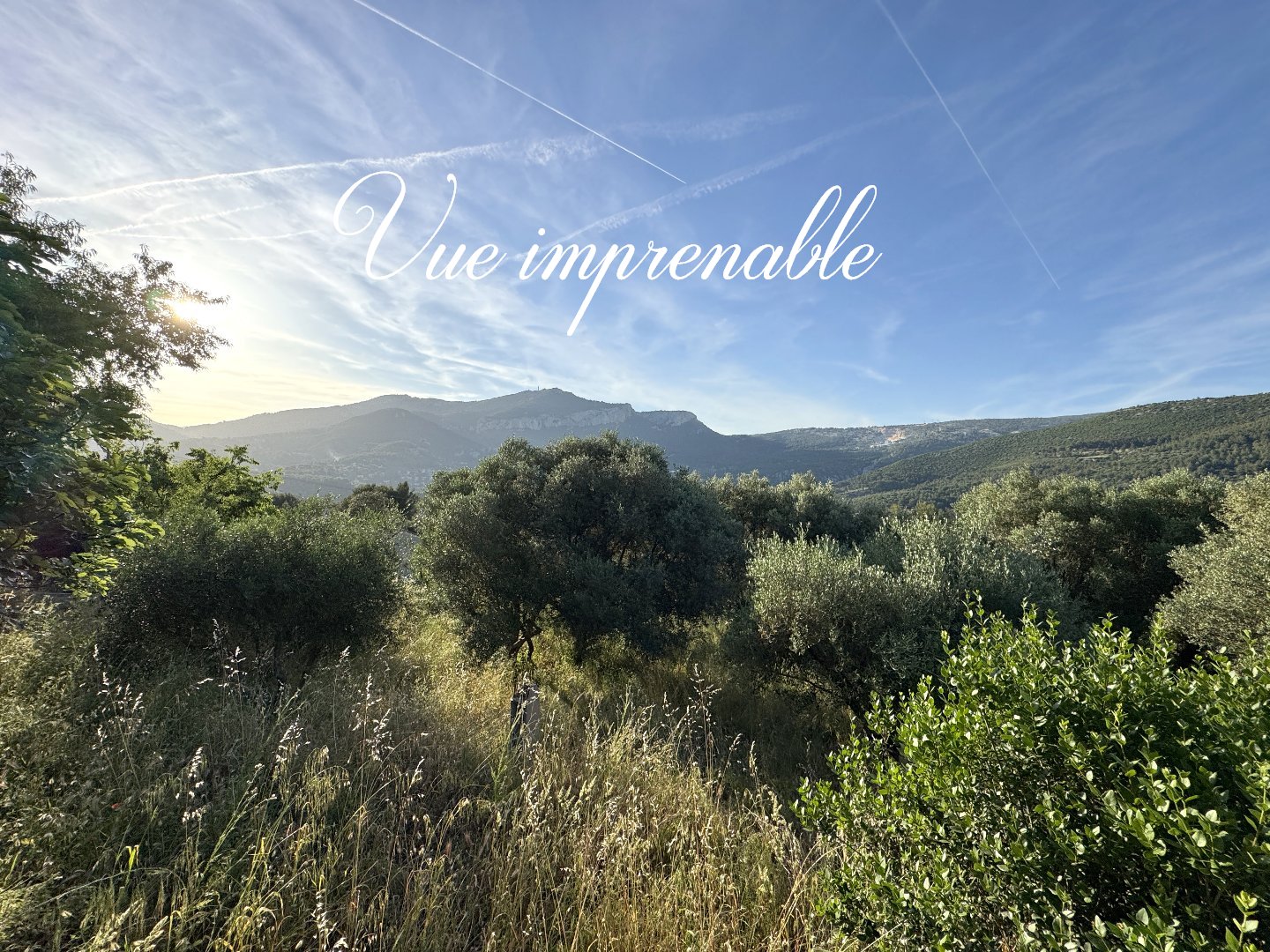 Agence immobilière de Homebook immo