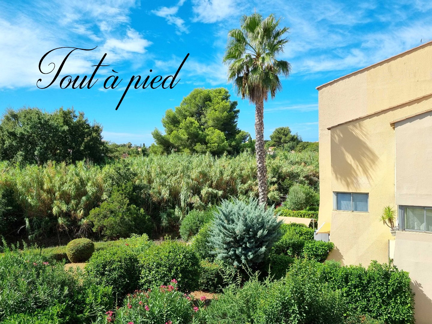 Agence immobilière de Homebook immo