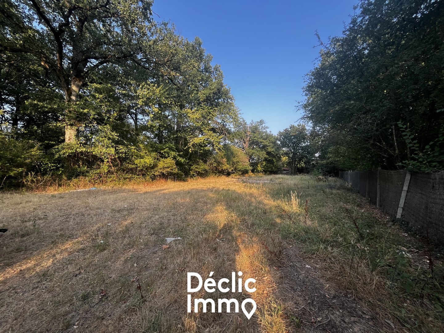 Terrain — Marigny-Chemereau