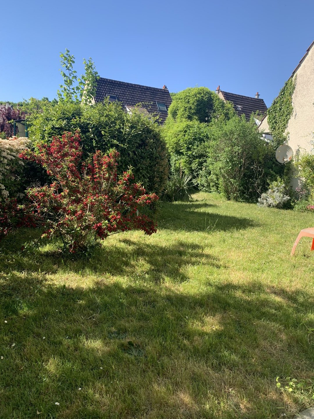 Seconde photo