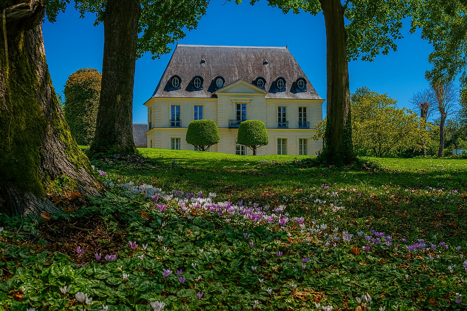 Agence immobilière de 5 PIECES ET PLUS