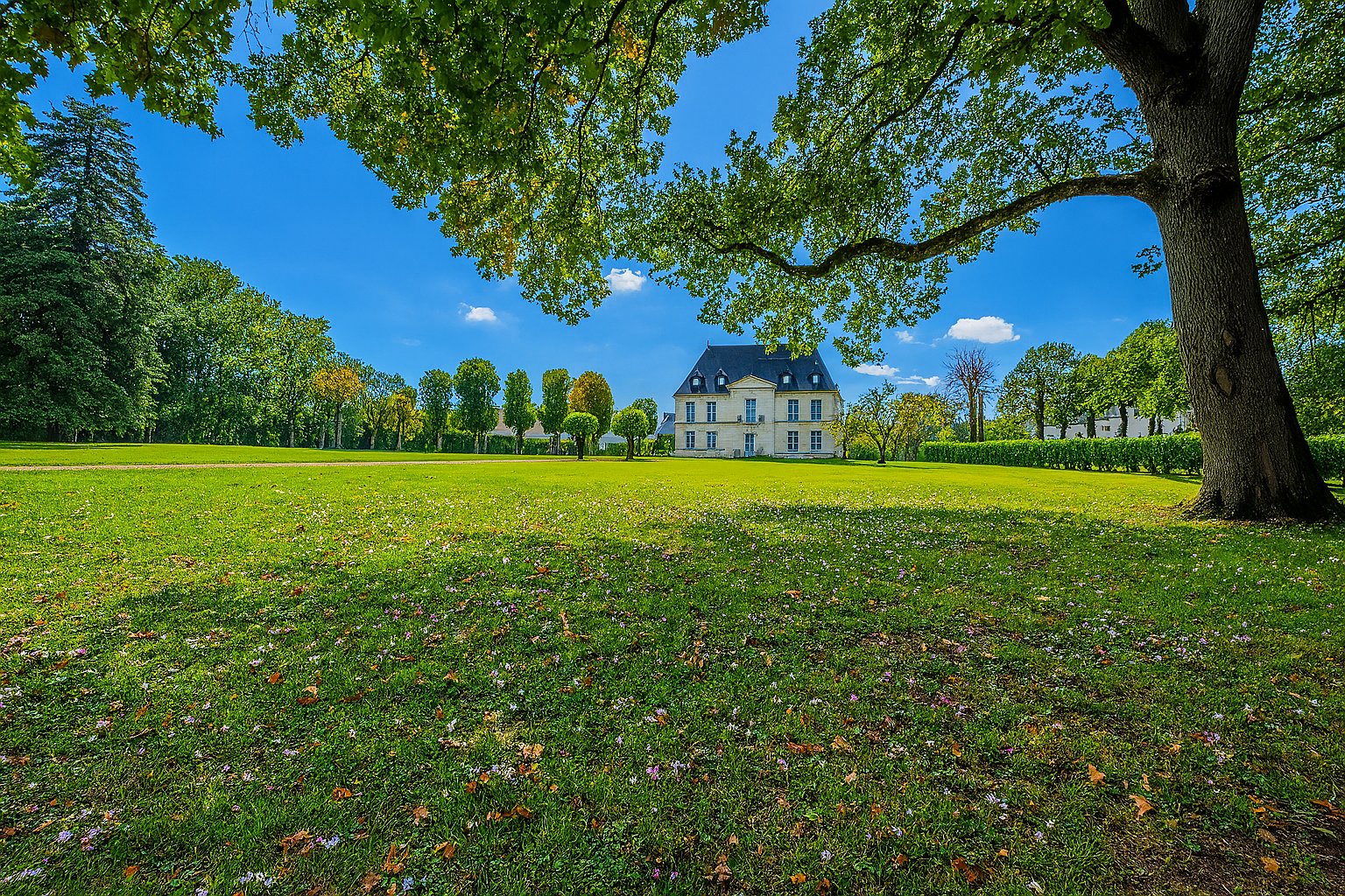 Agence immobilière de 5 PIECES ET PLUS